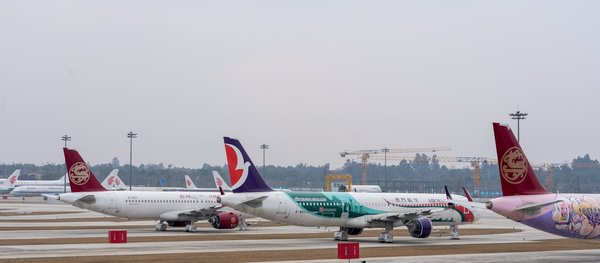 Les meilleures destinations de vacances pour les amateurs de vin